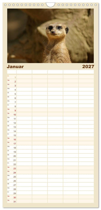 Erdmännchen: Zusammen sind wir stark (CALVENDO Familienplaner 2027)