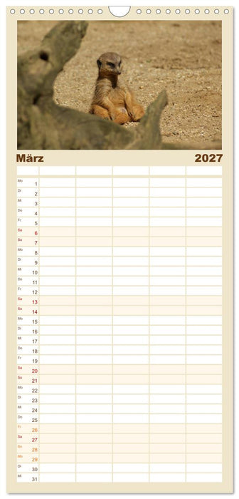 Erdmännchen: Zusammen sind wir stark (CALVENDO Familienplaner 2027)