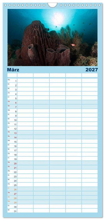Tauchen, Fische und Meer (CALVENDO Familienplaner 2027)