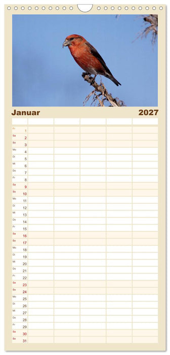 Vögel ganz nah (CALVENDO Familienplaner 2027)