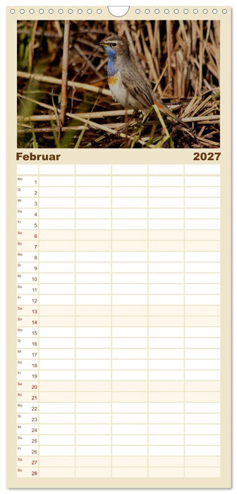 Vögel ganz nah (CALVENDO Familienplaner 2027)