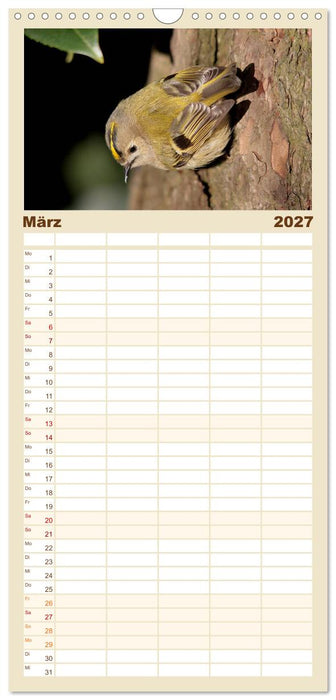 Vögel ganz nah (CALVENDO Familienplaner 2027)