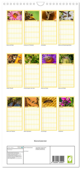 Bienenkalender (CALVENDO Familienplaner 2027)