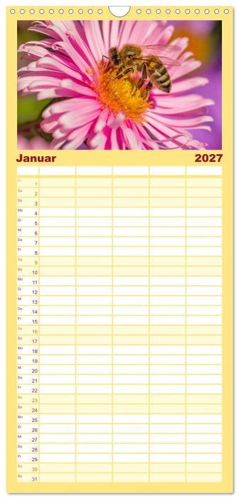 Bienenkalender (CALVENDO Familienplaner 2027)
