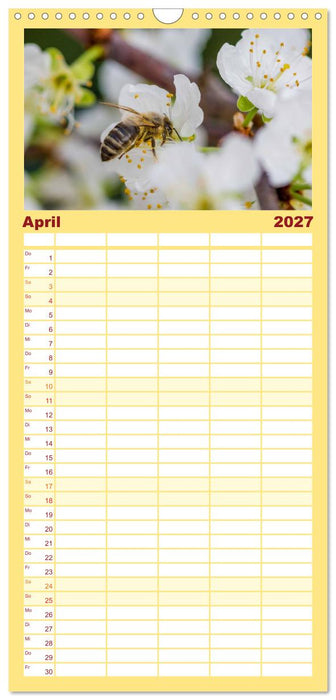 Bienenkalender (CALVENDO Familienplaner 2027)