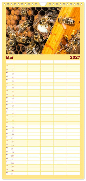 Bienenkalender (CALVENDO Familienplaner 2027)