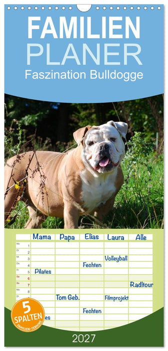 Faszination Bulldogge (CALVENDO Familienplaner 2027)