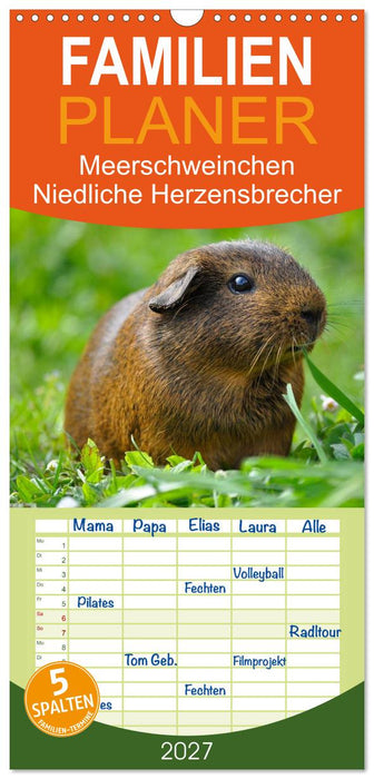 Meerschweinchen Niedliche Herzensbrecher (CALVENDO Familienplaner 2027)