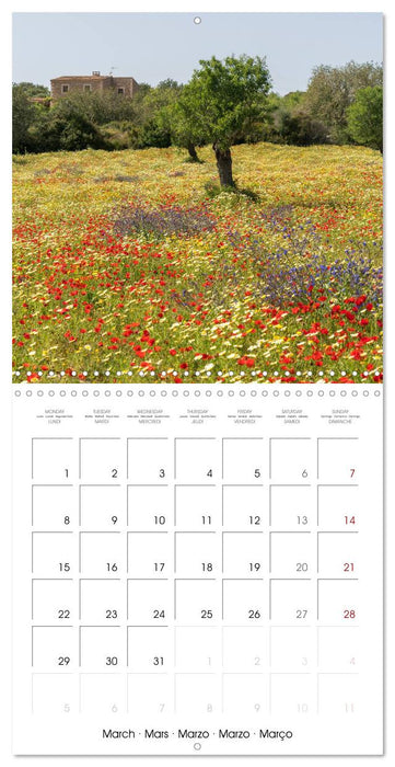 Balearic Islands - Mallorca (CALVENDO Monthly Calendar 2027)