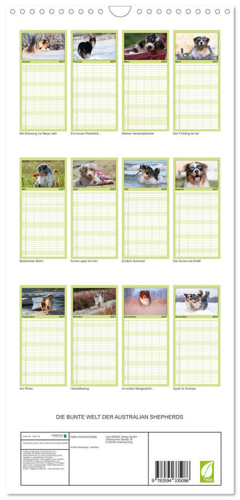 DIE BUNTE WELT DER AUSTRALIAN SHEPHERDS (CALVENDO Familienplaner 2027)