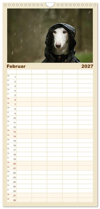 Zauberhafte Windhunde (CALVENDO Familienplaner 2027)