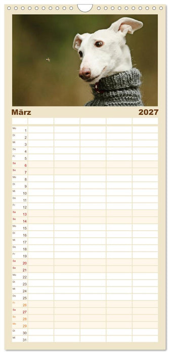 Zauberhafte Windhunde (CALVENDO Familienplaner 2027)