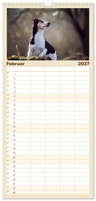 Hundeseele (CALVENDO Familienplaner 2027)