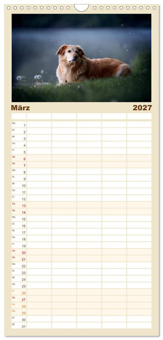 Hundeseele (CALVENDO Familienplaner 2027)