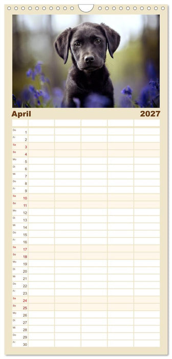 Hundeseele (CALVENDO Familienplaner 2027)