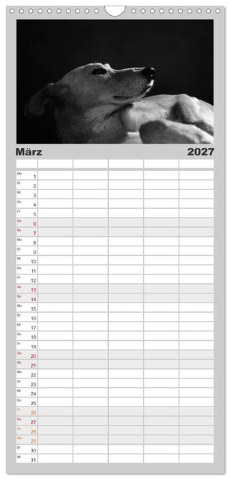 Hundeportraits Fine Art (CALVENDO Familienplaner 2027)