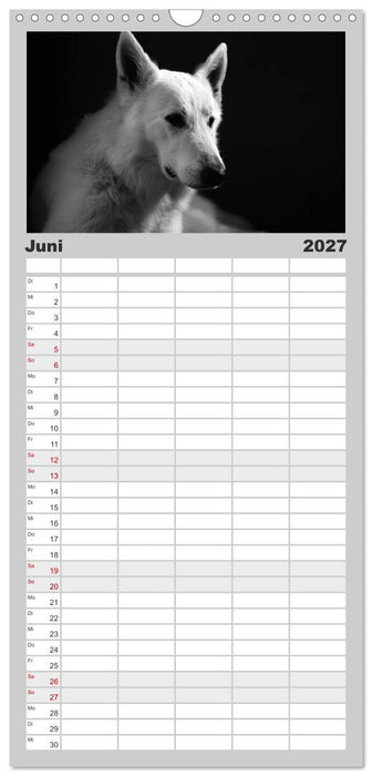 Hundeportraits Fine Art (CALVENDO Familienplaner 2027)