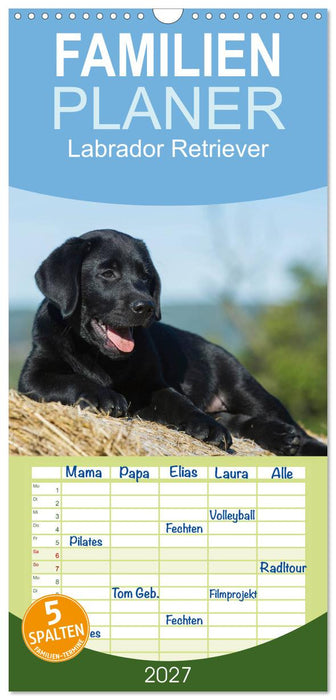 Labrador Retriever 2027 (CALVENDO Familienplaner 2027)
