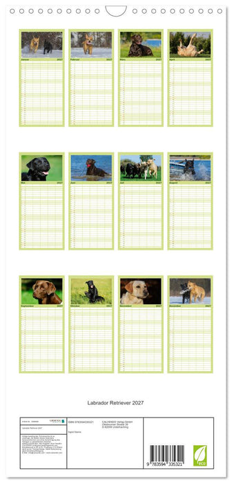 Labrador Retriever 2027 (CALVENDO Familienplaner 2027)