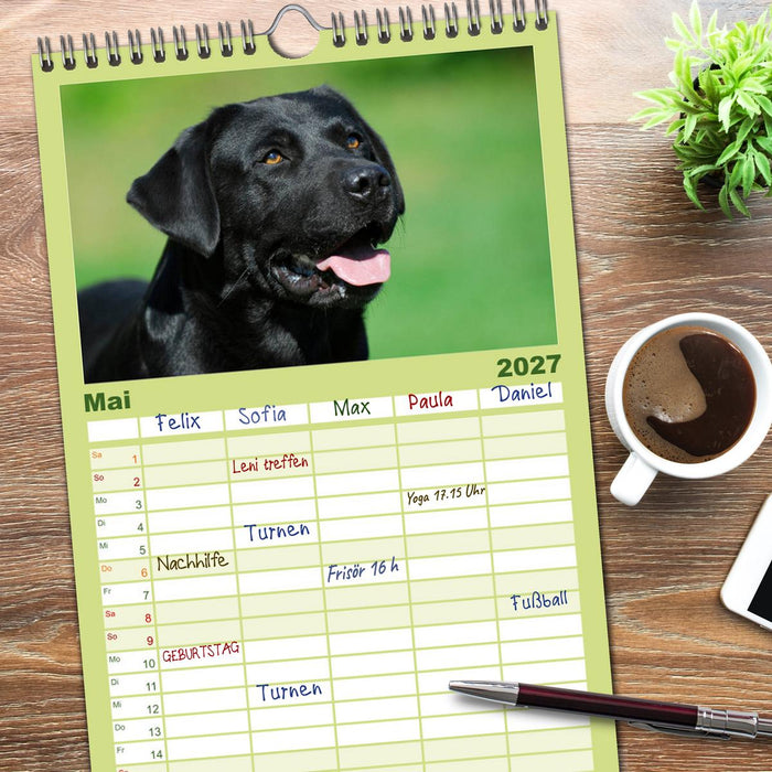 Labrador Retriever 2027 (CALVENDO Familienplaner 2027)