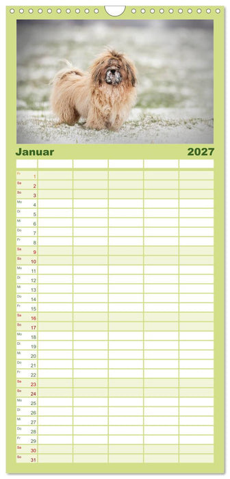 Havaneser - Wirbelwinde aus Kuba (CALVENDO Familienplaner 2027)