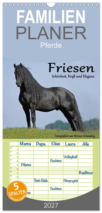 Friesen - Schönheit, Kraft und Eleganz (CALVENDO Familienplaner 2027)