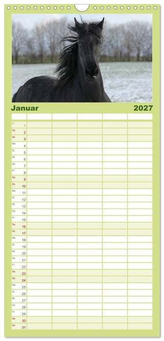 Friesen - Schönheit, Kraft und Eleganz (CALVENDO Familienplaner 2027)