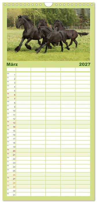 Friesen - Schönheit, Kraft und Eleganz (CALVENDO Familienplaner 2027)