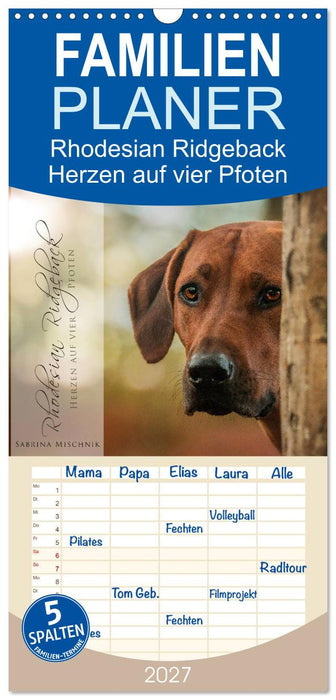 Rhodesian Ridgeback - Herzen auf vier Pfoten (CALVENDO Familienplaner 2027)