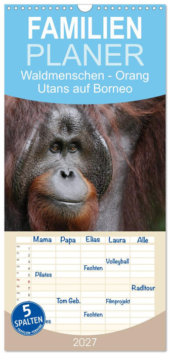 Waldmenschen - Orang Utans auf Borneo (CALVENDO Familienplaner 2027)