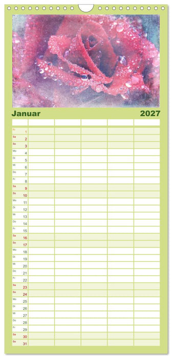 Rosenduft Shabby Chic Style (CALVENDO Familienplaner 2027)