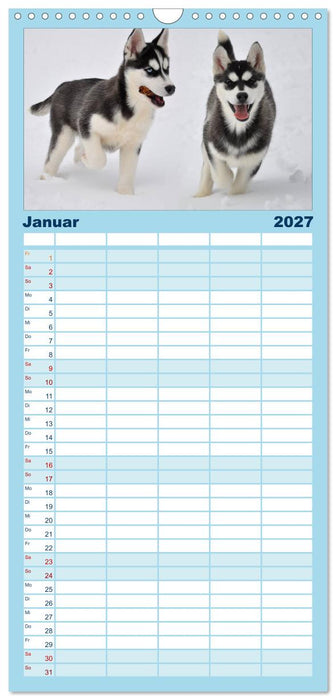 Husky-Kalender (CALVENDO Familienplaner 2027)