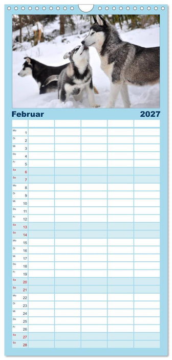Husky-Kalender (CALVENDO Familienplaner 2027)