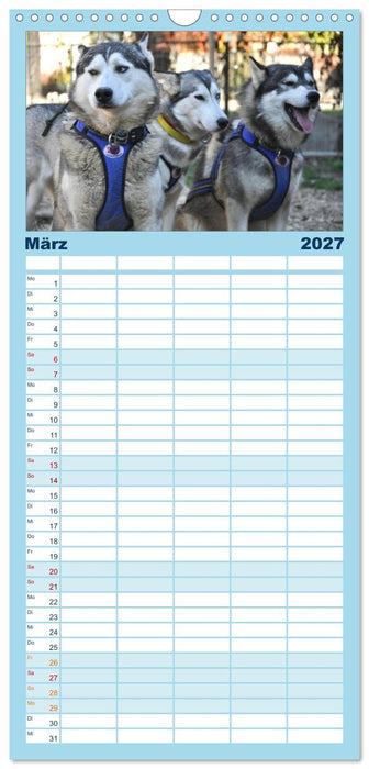 Husky-Kalender (CALVENDO Familienplaner 2027)