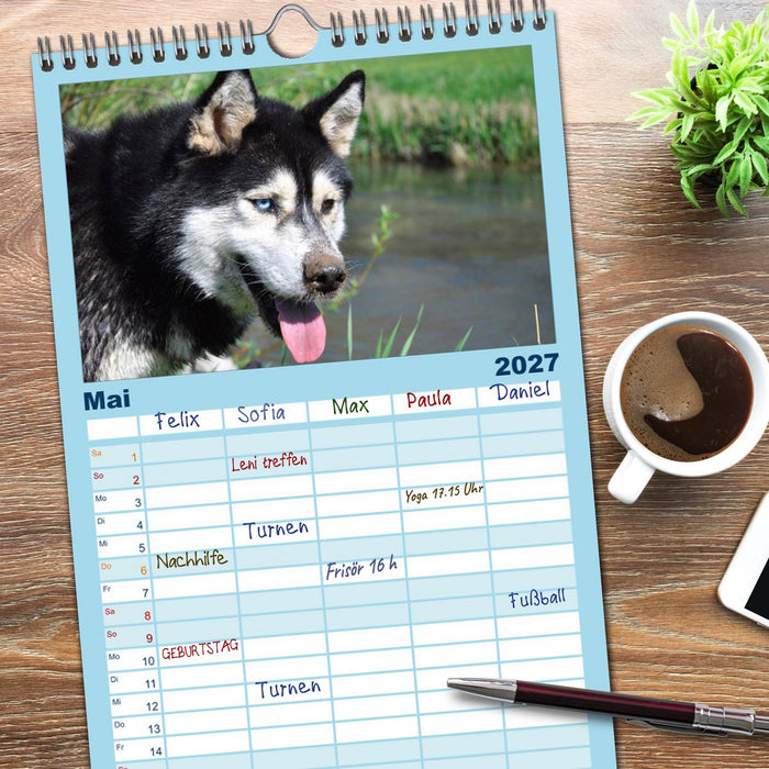 Husky-Kalender (CALVENDO Familienplaner 2027)