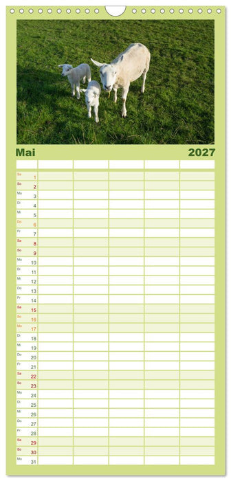 Ameland Wunderschöne Insel (CALVENDO Familienplaner 2027)