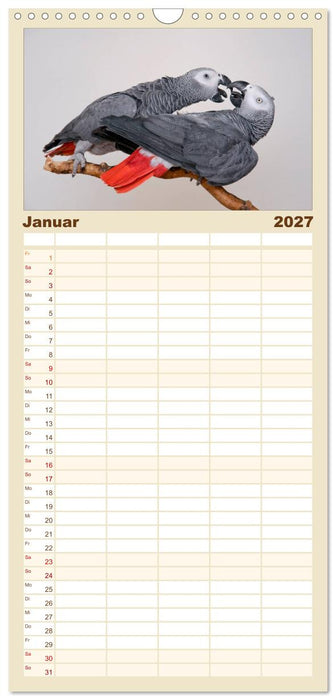 Graupapageien mit Herz (CALVENDO Familienplaner 2027)