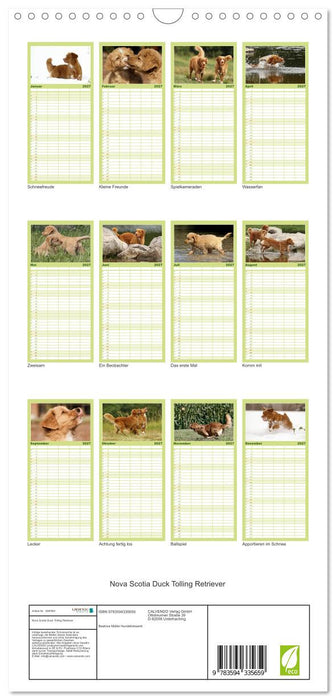 Nova Scotia Duck Tolling Retriever (CALVENDO Familienplaner 2027)