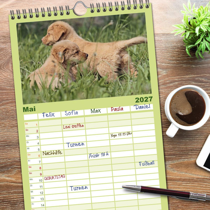 Nova Scotia Duck Tolling Retriever (CALVENDO Familienplaner 2027)