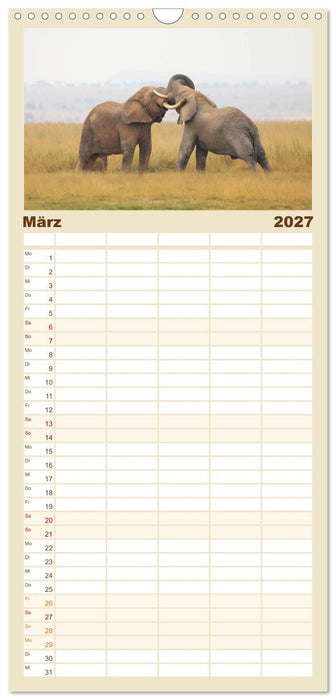 Kenias wilde Elefanten (CALVENDO Familienplaner 2027)
