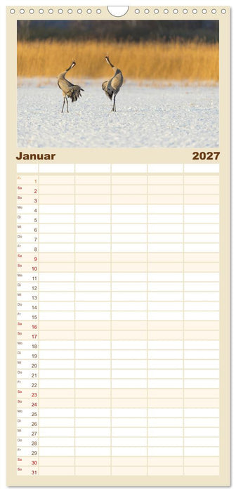Mit Kranichen durch das Jahr (CALVENDO Familienplaner 2027)