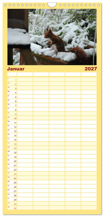 Spaß mit Eichhörnchen! (CALVENDO Familienplaner 2027)