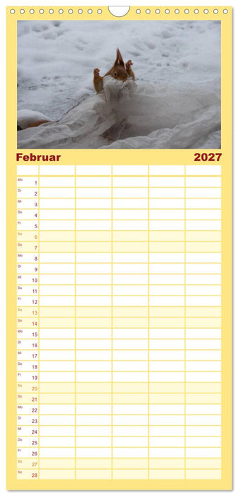 Spaß mit Eichhörnchen! (CALVENDO Familienplaner 2027)
