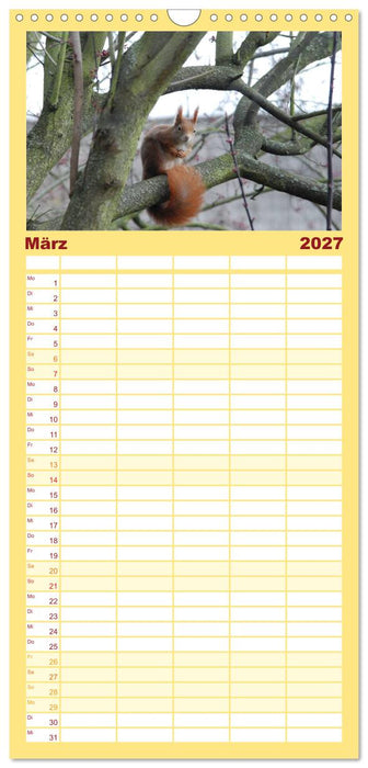 Spaß mit Eichhörnchen! (CALVENDO Familienplaner 2027)