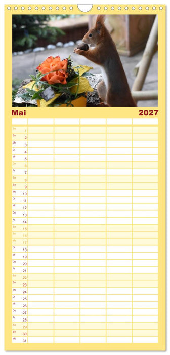 Spaß mit Eichhörnchen! (CALVENDO Familienplaner 2027)