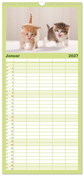 Lächelnd durchs Jahr - Katzenkinder -Familienplaner hoch (CALVENDO Familienplaner 2027)