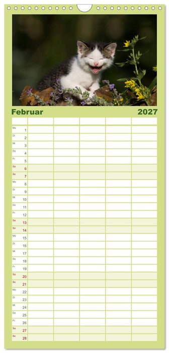 Lächelnd durchs Jahr - Katzenkinder -Familienplaner hoch (CALVENDO Familienplaner 2027)