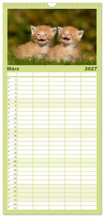 Lächelnd durchs Jahr - Katzenkinder -Familienplaner hoch (CALVENDO Familienplaner 2027)