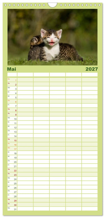 Lächelnd durchs Jahr - Katzenkinder -Familienplaner hoch (CALVENDO Familienplaner 2027)