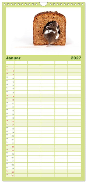 Süße Mäuse und Coole Ratten (CALVENDO Familienplaner 2027)